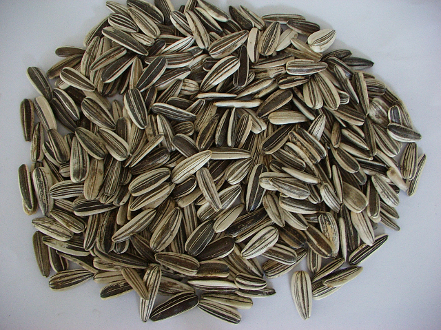 data-lemmaid="5925593">福海县 /a>特产,全国农产品地理标志