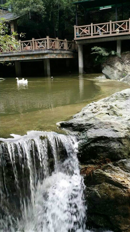  p>逸景园农家乐位于十堰市茅箭区百二河村大川路五十一号,座落于十房
