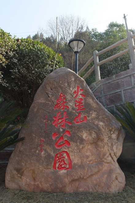 火星森林公园