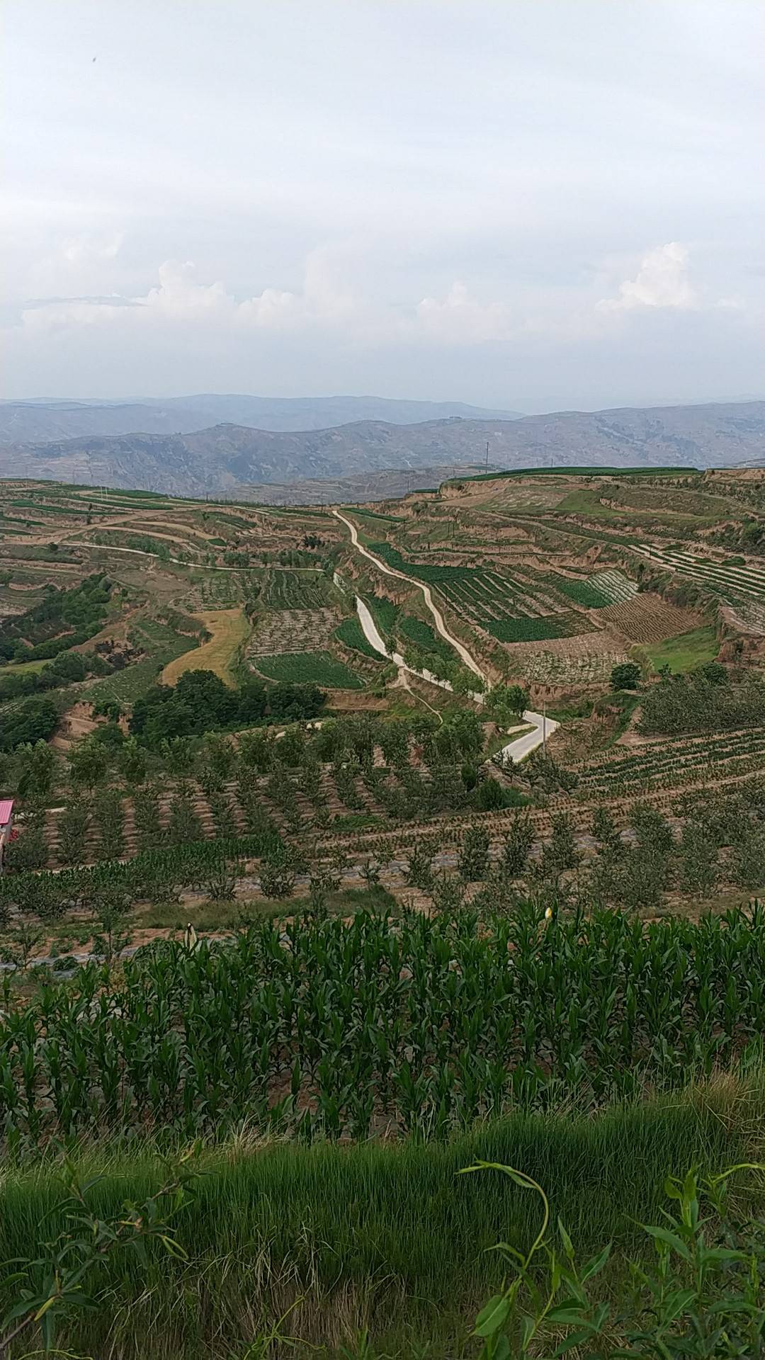  p>静宁县师家台子,位于甘肃省东部,该地区位于北纬30°__东经35