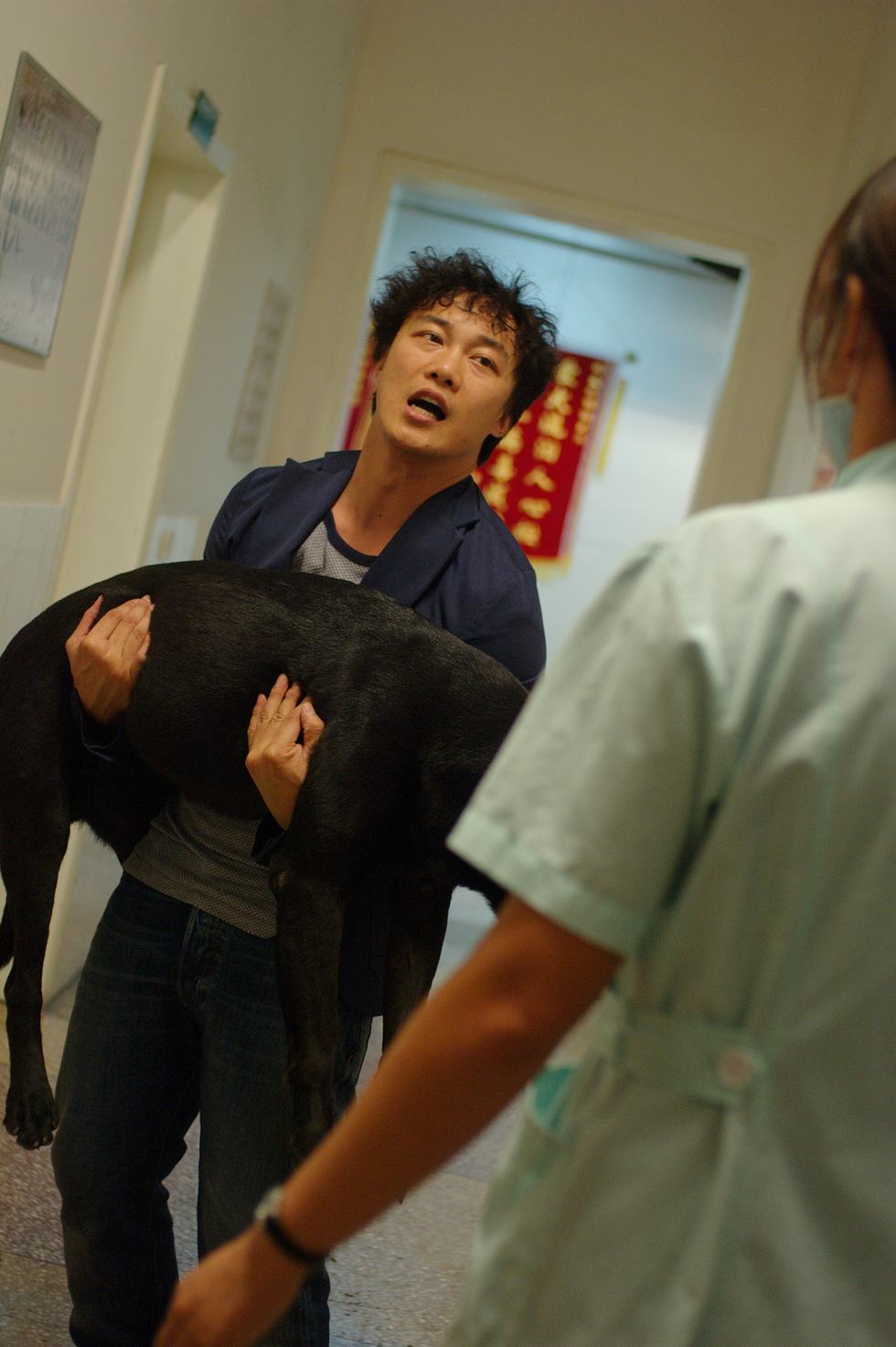  p>《秘岸》是由星皓电影有限公司出品的剧情影片,该片由 a target="