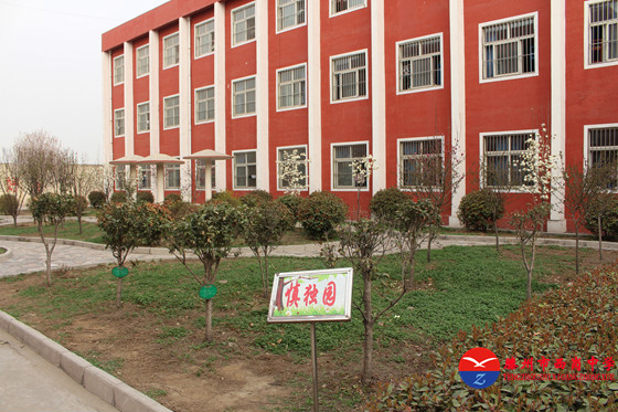 滕州市西岗中学