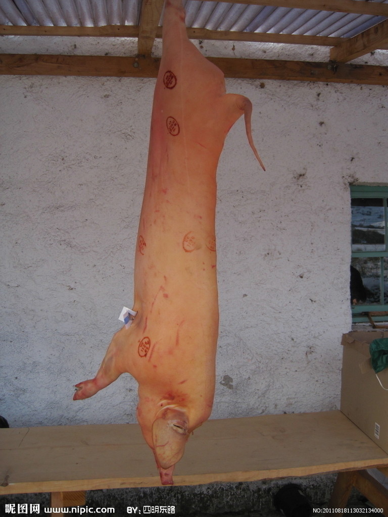  p>大白猪又称为 a target="_blank" href="/i