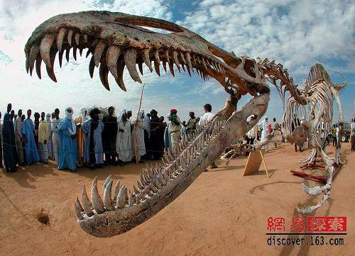  p>鳄龙,是一种史前大型爬行动物,属于 a href="#" data-lemmaid="