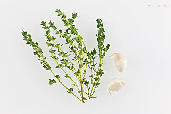  p data-id="txuwy1af45ll">百里香( i>thymus mongolicus /i> (ron