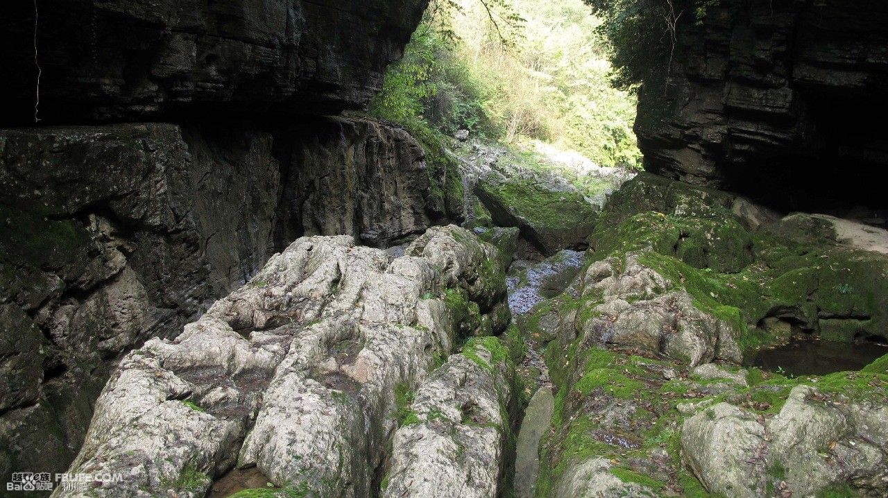 data-lemmaid="31692">清江 /a>古河床位于湖北省利川市,总长8公里