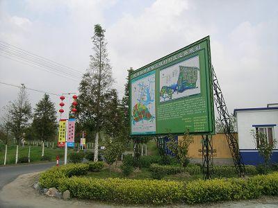 三墩村