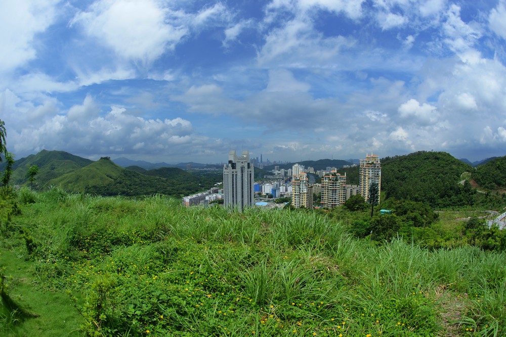 深圳仙桐体育公园