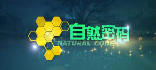 《自然密码》杂志