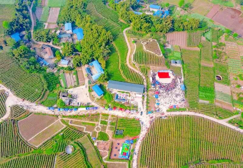  p>藕塘镇,隶属于四川省眉山市 a target="_blank" href="/item/仁寿