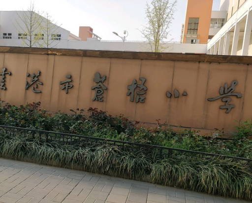  p>苍梧小学,江苏省连云港市的一所学校. /p>