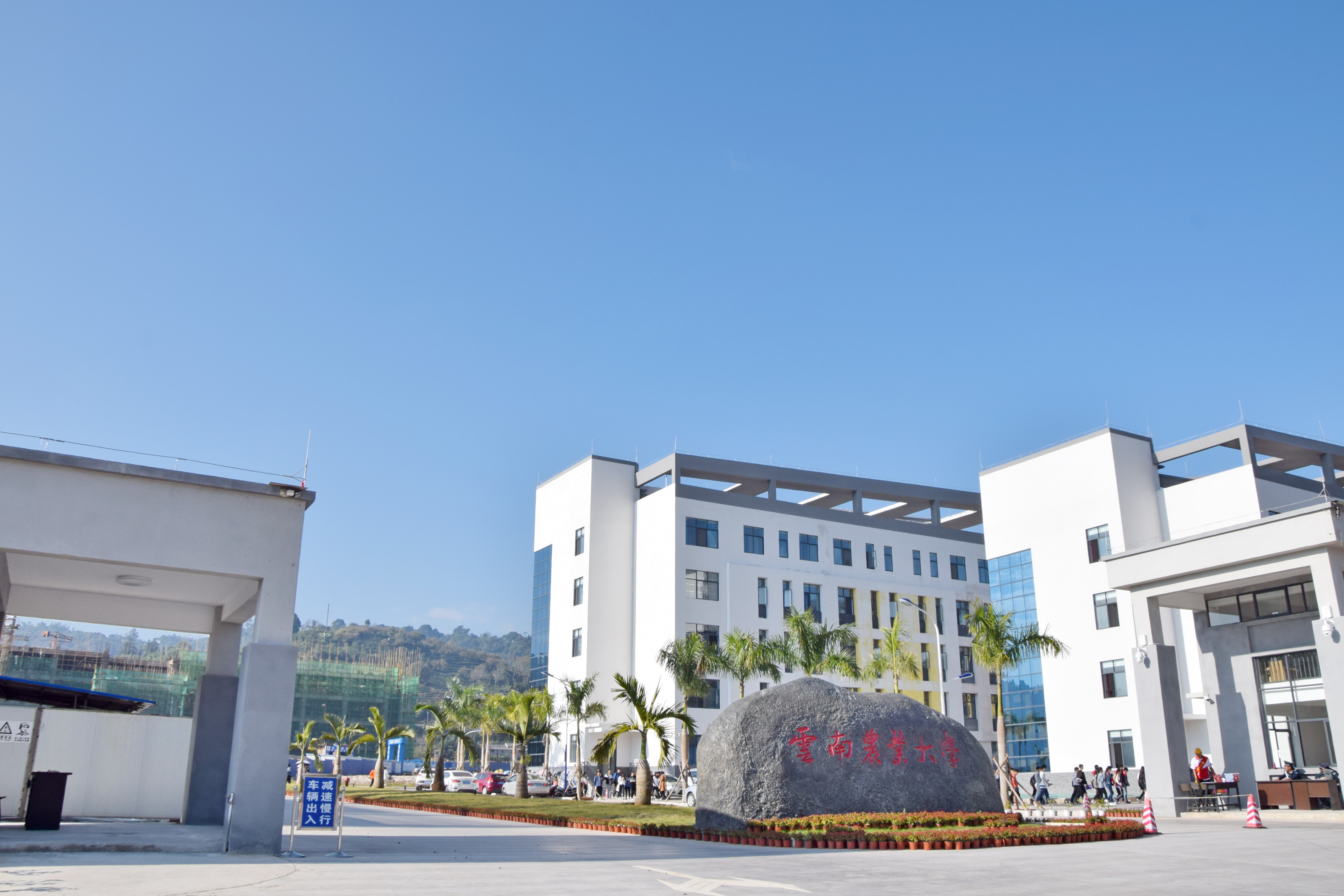 云南农业大学普洱校区