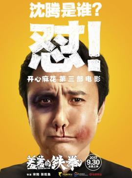 羞羞的铁拳（2017年宋阳、张迟昱执导的喜剧片）_百度百科