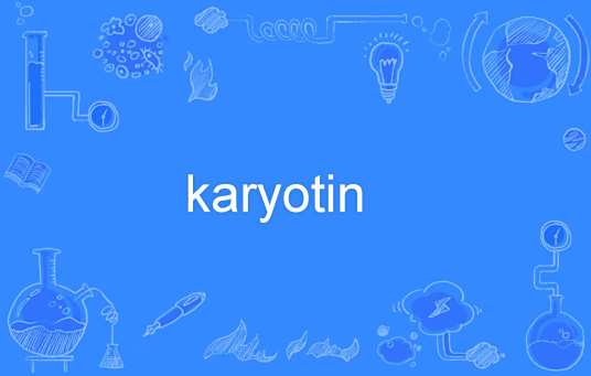 karyotin_百度百科