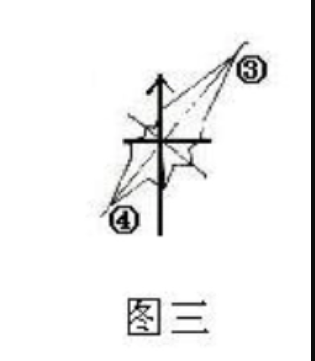 玫瑰风向图