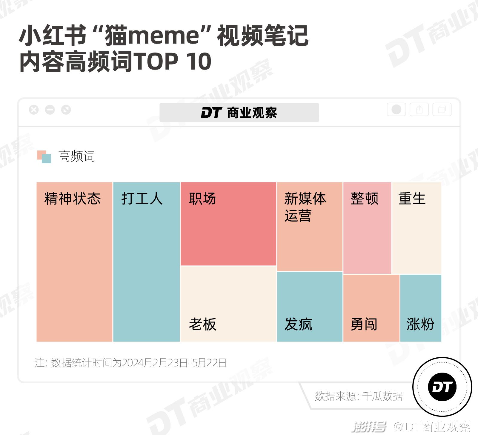 一周涨粉10万，猫meme怎么就火了？_百科TA说
