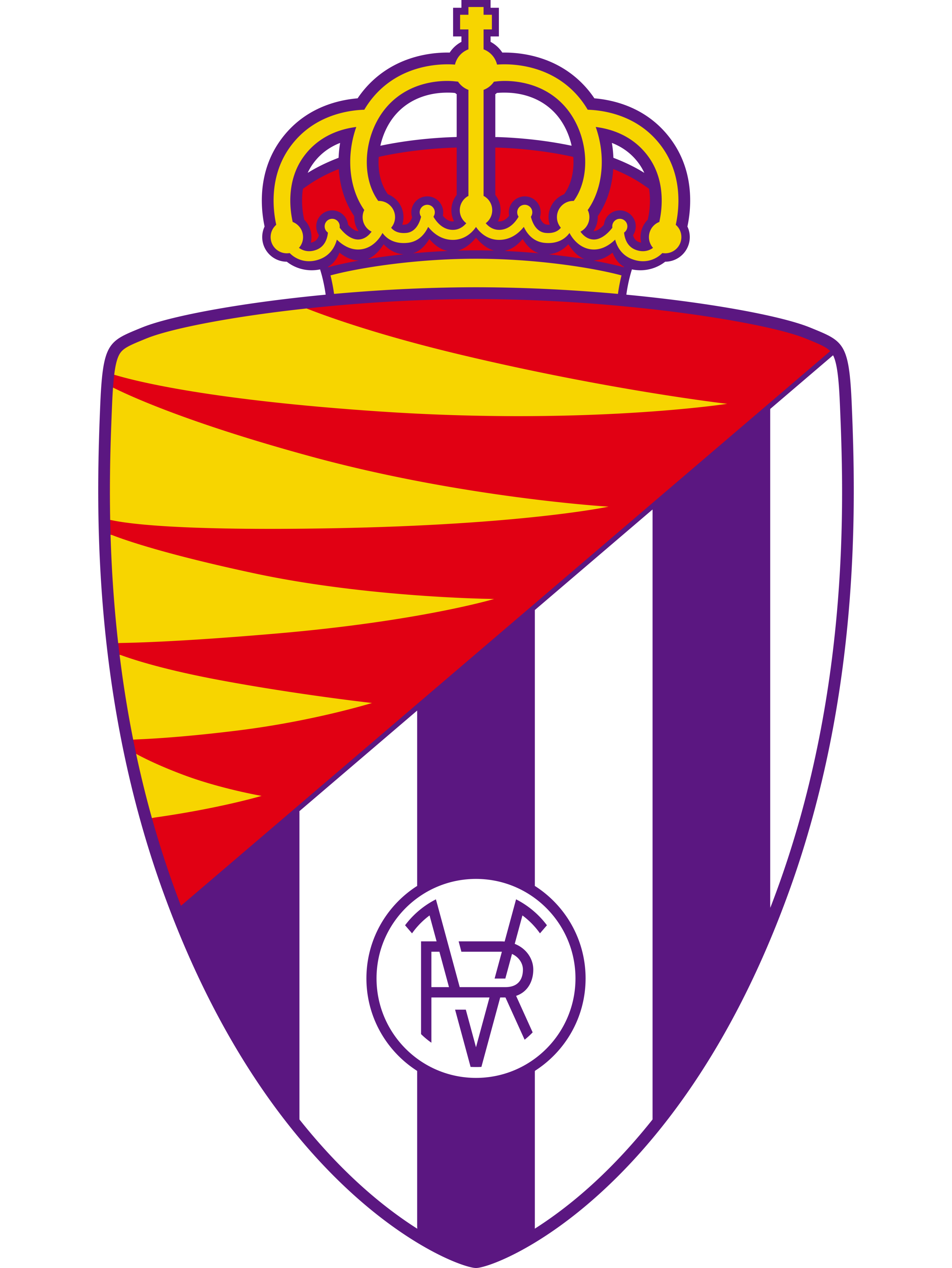 巴拉杜利德足球俱乐部