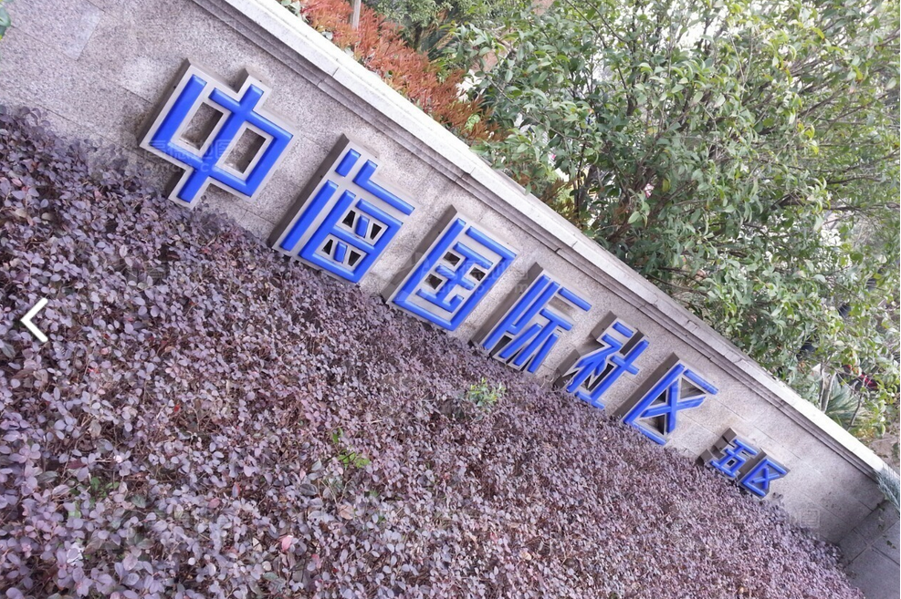 中海国际社区