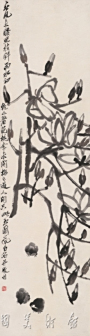 玉兰小鸡