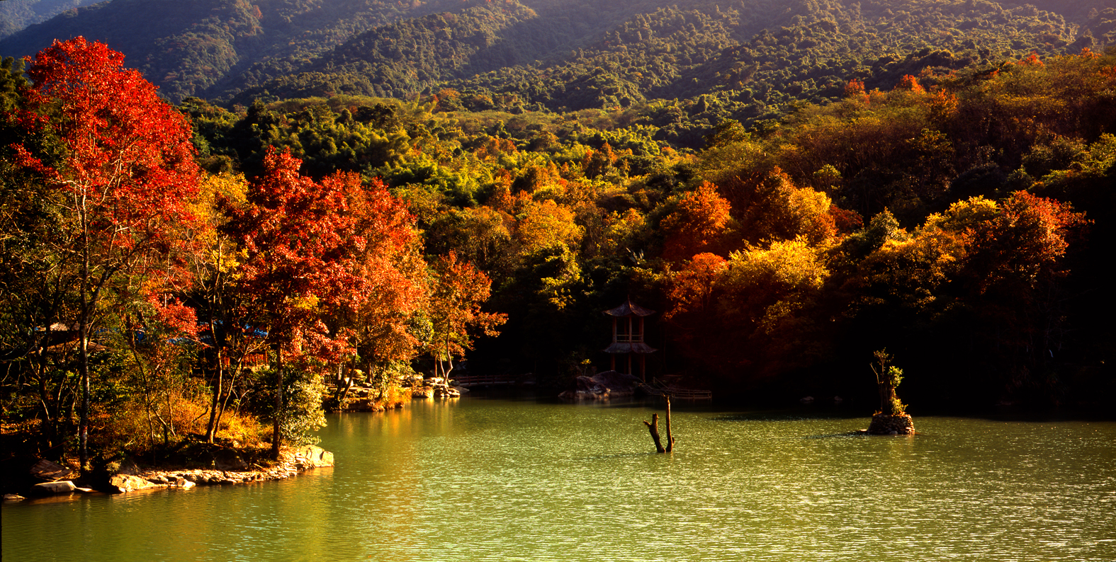  p>源城区,广东省 a target="_blank" href="/item/河源市/2464539"