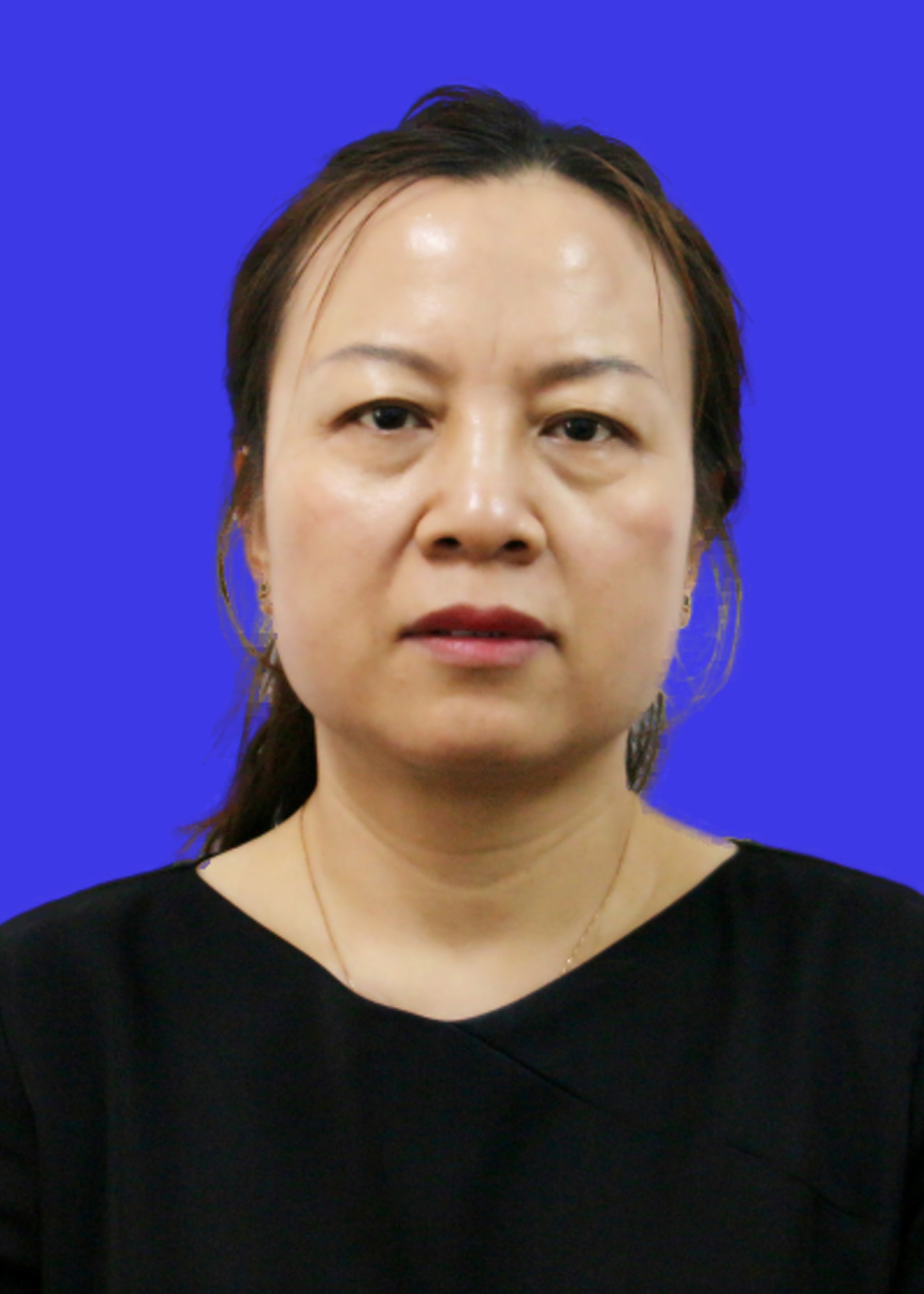  /p> p>现任河北省保定市定兴县人民政府副县长. /p>