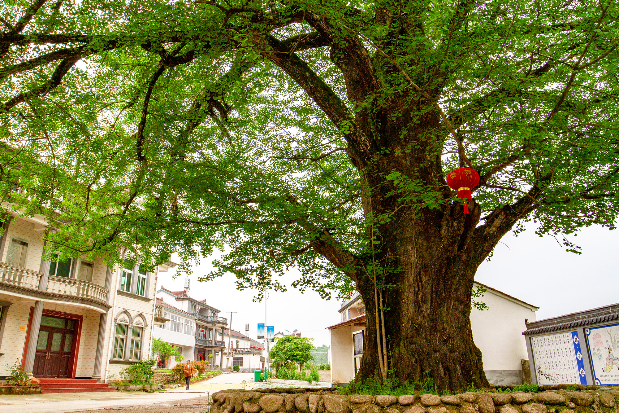  p>酉华镇,隶属于安徽省池州市青阳县,地处 a target="_blank" href="