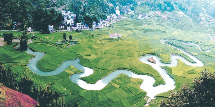 命河