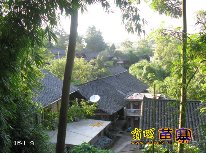  p>翁项苗寨位于凯里市旁海镇,距凯里市有约12公里(旁海镇与凯里市的1