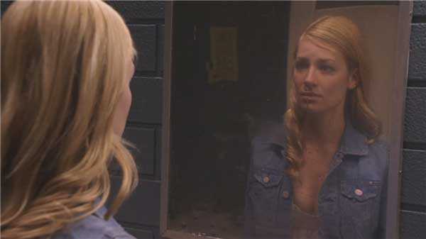 american pie presents book of love