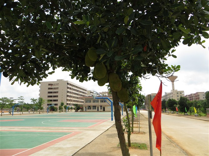 雷州市第八中学