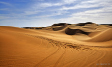 沙坡头国家级自然保护区