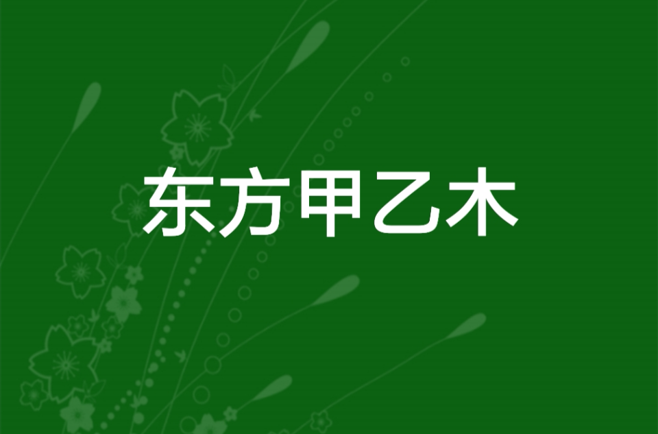 甲乙东方木
