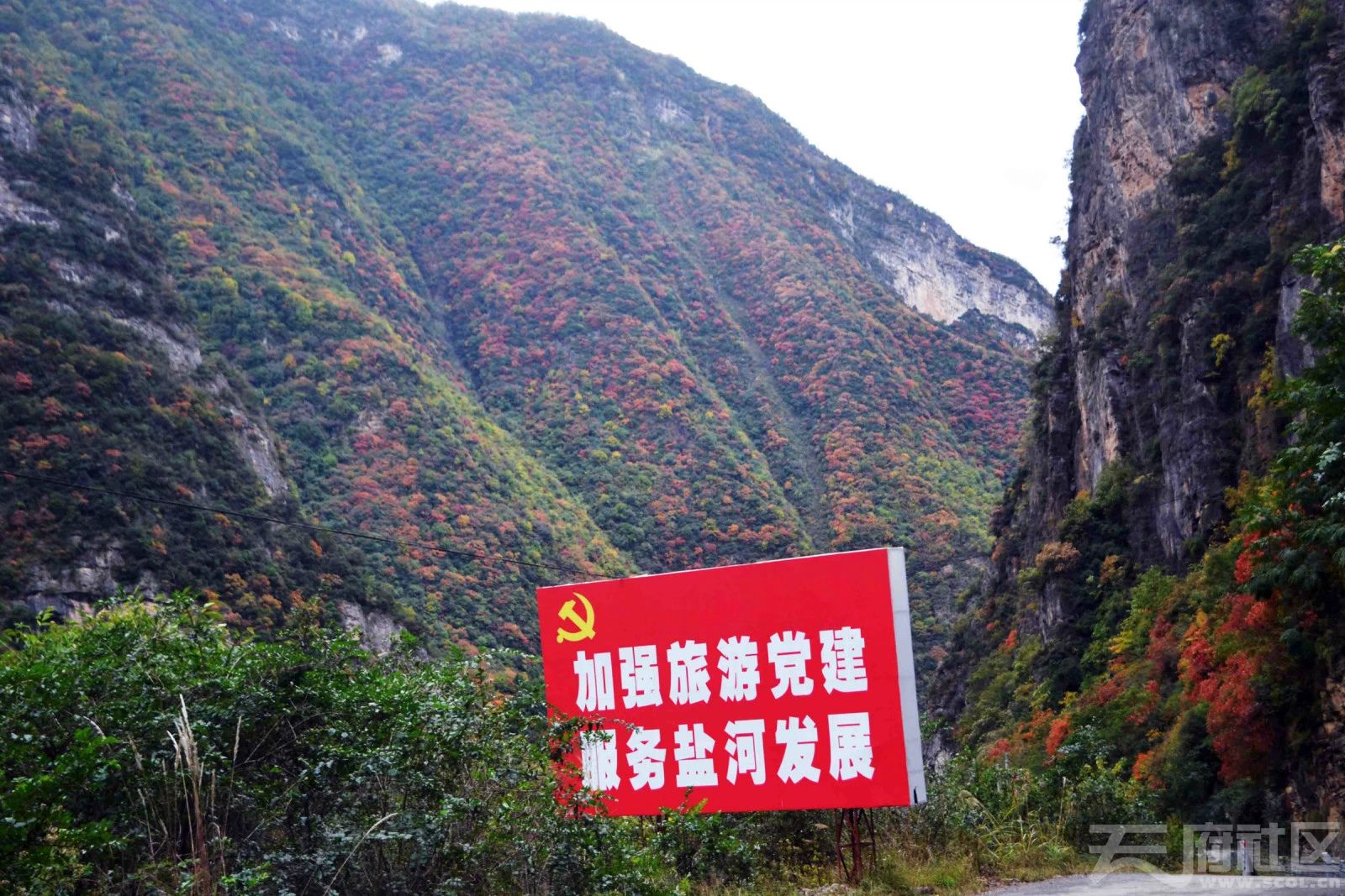 旺苍大峡谷森林公园