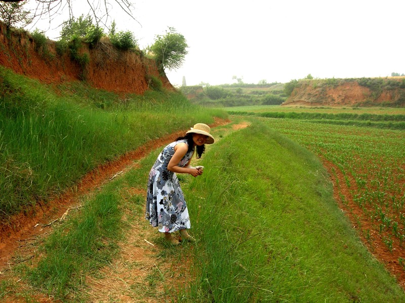  p>西周村是江苏省兴化市张郭镇下辖村. /p>