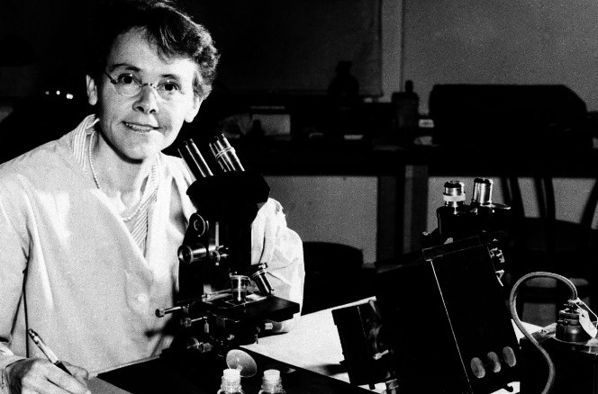 芭芭拉•麦克林托克