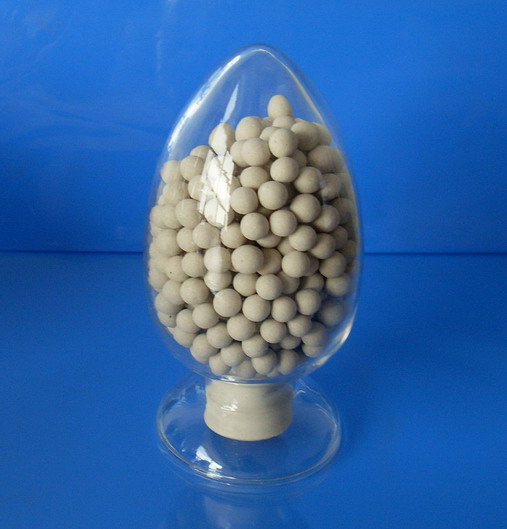  p>钙离子是机体各项生理活动不可缺少的离子.