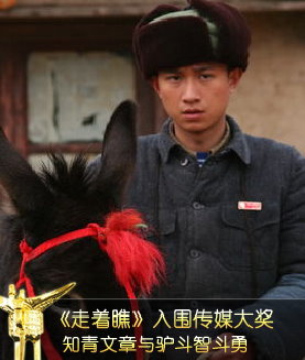 a tale of two donkeys