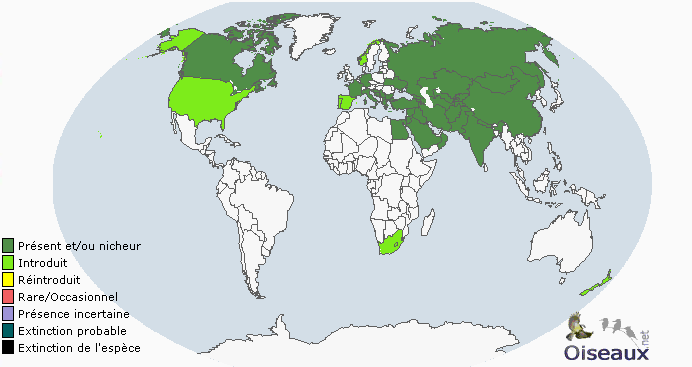 属于 a target="_blank" href="/item/鸡形目">鸡形目 /a>鹧鸪属,亚洲