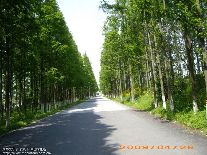  p>上海市南汇区芦潮港农场,位于上海市南汇区西南端.