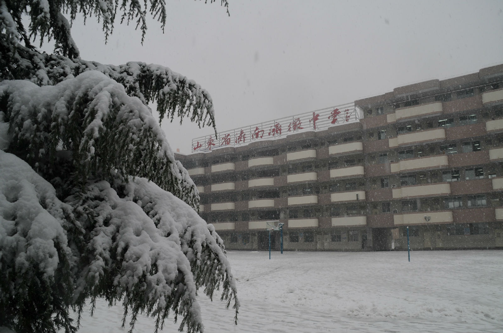  p data-id="gnhgmm3v9v">山东省济南济微中学校是槐荫区唯一一所九年