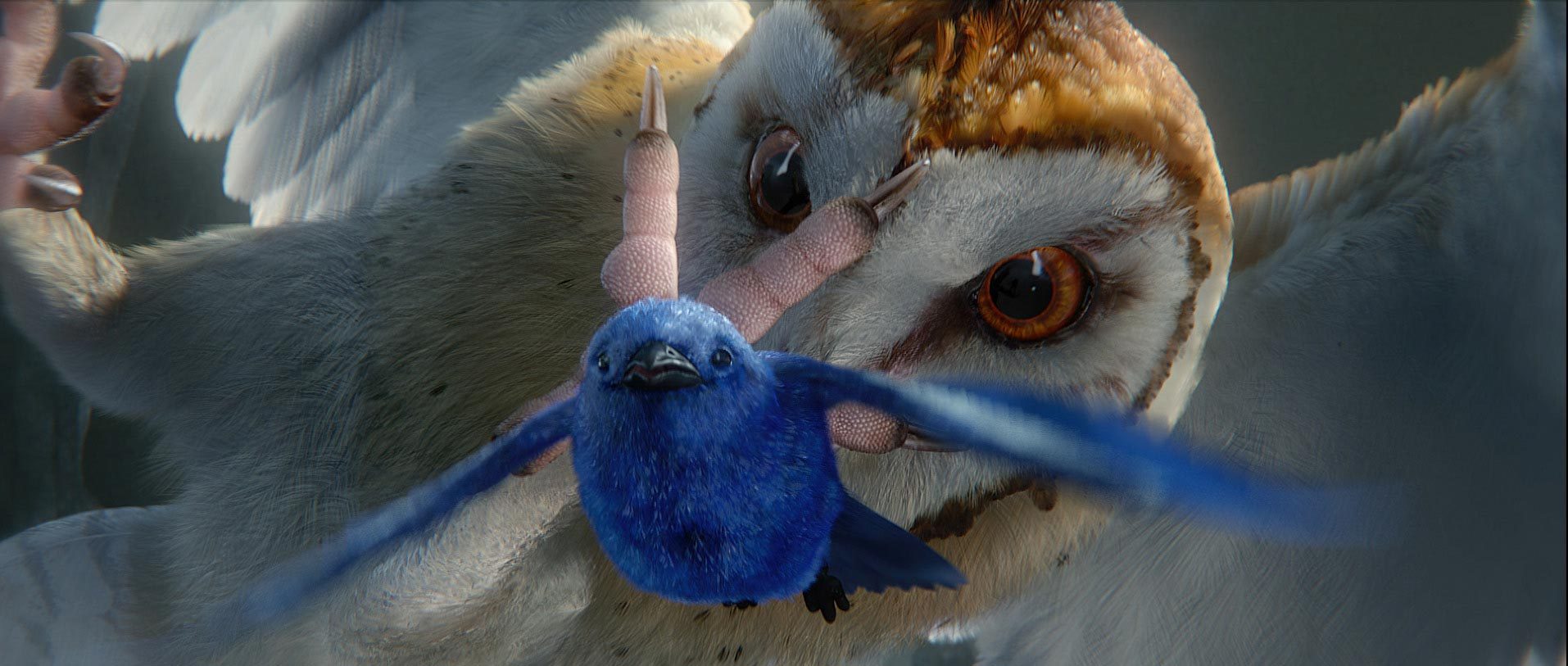 猫头鹰王国之守卫者传奇