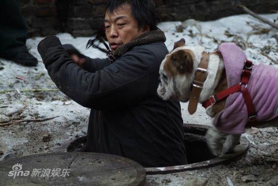  p>《倔强萝卜》是由 a href="#" data-lemmaid="2620059">上海文广