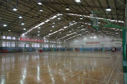  p>沈阳市体育运动学校始建于1984年,是以培养优秀体育后备人才和小学