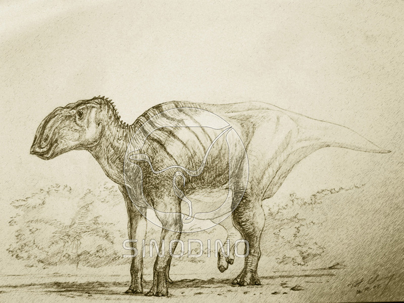  p>恐龙(英文名:dinosaur),是指三角龙,现代鸟类和梁龙最近的共同祖先