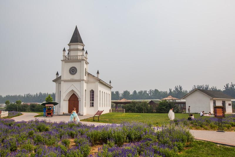 蓝调薰衣草庄园