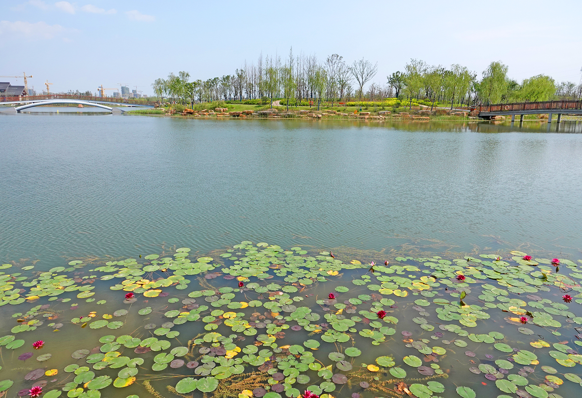  p>千鹤湖(原盘石头水库)又名仙鹤湖于鹤壁市区西北部20公里处的大河