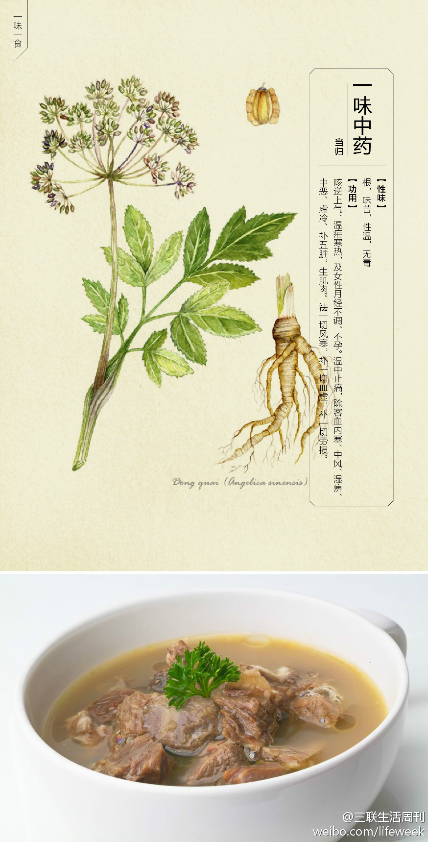 又名薜,山蕲,文无,当归.我国甘肃,四川,云南,陕西,贵州,湖北等地.