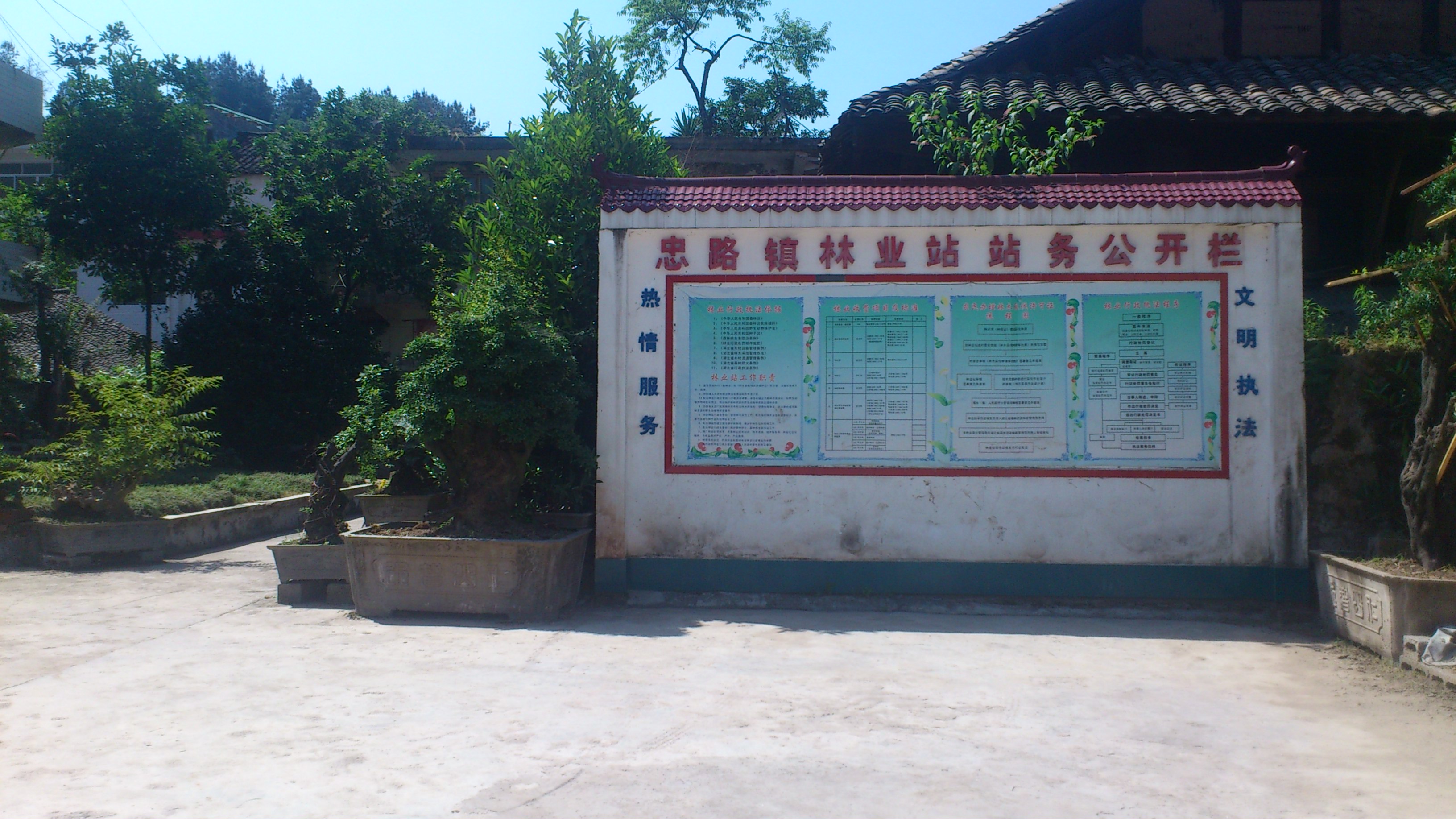 利川市忠路镇林业站