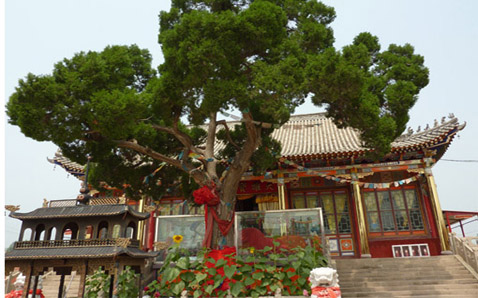  p>妙吉寺位于 a target="_blank" href="/item/辽宁建平市">辽宁建平