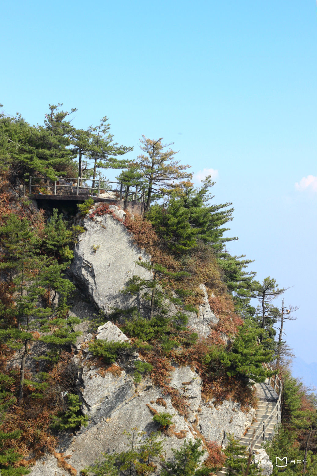 山阳天竺山国家森林公园